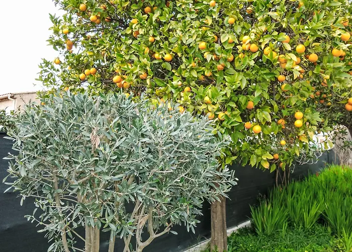 Mont Des Oiseaux By Interhome * ツーロン