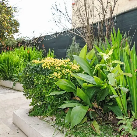 Mont Des Oiseaux By Interhome *